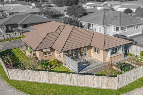 Photo of property in 45 Chester Street, Levin, 5510