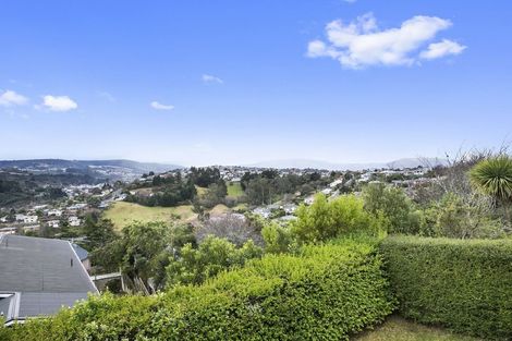 Photo of property in 40 Mornington Road, Balaclava, Dunedin, 9011