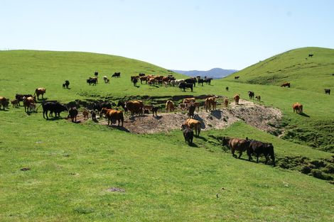 Photo of property in 89 Mcdonald Street, Napier South, Napier, 4110