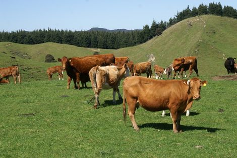 Photo of property in 89 Mcdonald Street, Napier South, Napier, 4110