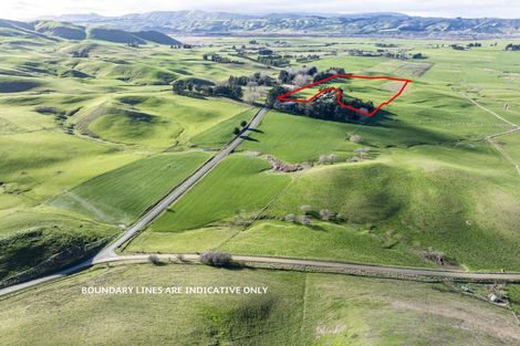 Photo of property in 930 Te Aute Trust Road, Poukawa, 4178