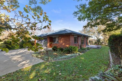 Photo of property in 8a Hikutaia Street, Te Aroha, 3320