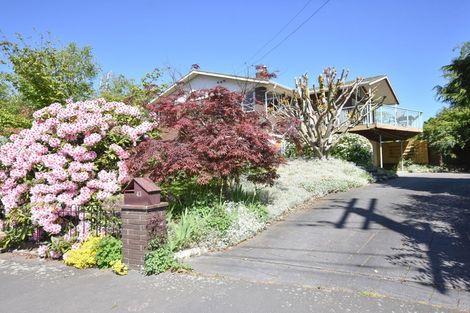 Photo of property in 43 Formby Street, Outram, 9019