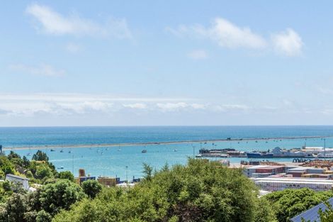 Photo of property in 3 Britannia Heights, Stepneyville, Nelson, 7010