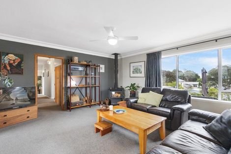Photo of property in 14 Terrace Street, Putaruru, 3411