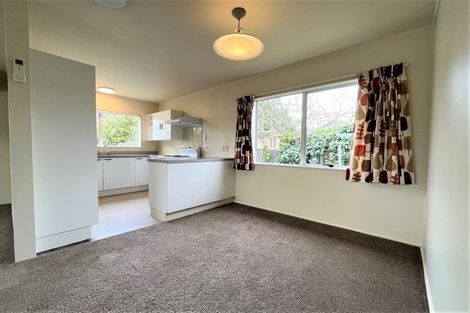 Photo of property in 34 Oxford Street, Fairfield, Hamilton, 3214