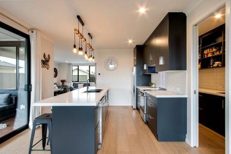 Photo of property in 60 Lochhead Street, Mahora, Hastings, 4120