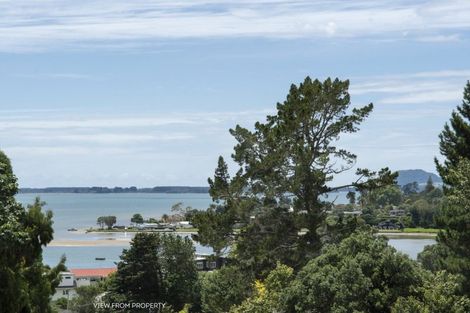 Photo of property in 221 Plummers Point Road, Whakamarama, Tauranga, 3172