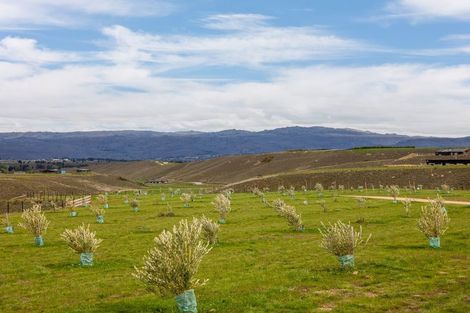 Photo of property in 39 Kordia Way, Waikerikeri, Alexandra, 9391