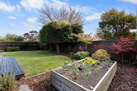 Photo of property in 102 Somerfield Street, Somerfield, Christchurch, 8024