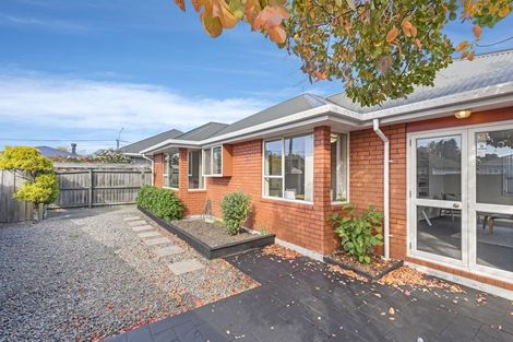 Photo of property in 1/126 Opawa Road, Opawa, Christchurch, 8023