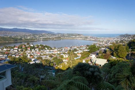 Photo of property in 51 Marewa Road, Hataitai, Wellington, 6021
