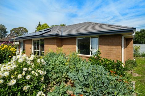 Photo of property in 63c Nelson Street, Springlands, Blenheim, 7201