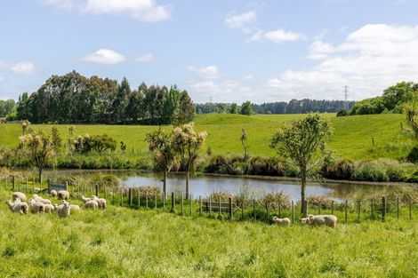 Photo of property in 578 Sandon Road, Feilding, 4779