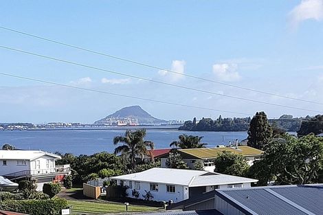 Photo of property in 361a Maungatapu Road, Maungatapu, Tauranga, 3112