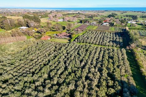 Photo of property in 29 Westmere Road, Westmere, Whanganui, 4574