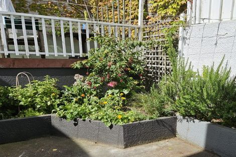 Photo of property in 87 Majoribanks Street, Mount Victoria, Wellington, 6011