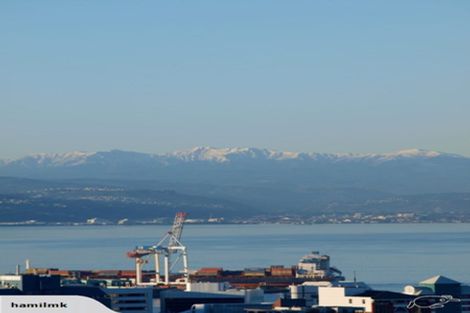 Photo of property in 35 Mortimer Terrace, Aro Valley, Wellington, 6021