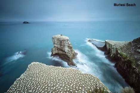 Photo of property in 30 Pukemarino Road, Waimauku, 0812