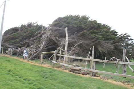 Photo of property in 42 Surrey Street, Orepuki, Riverton, 9881