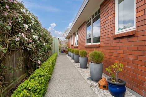 Photo of property in 3 Alba Place, Cambridge, 3434