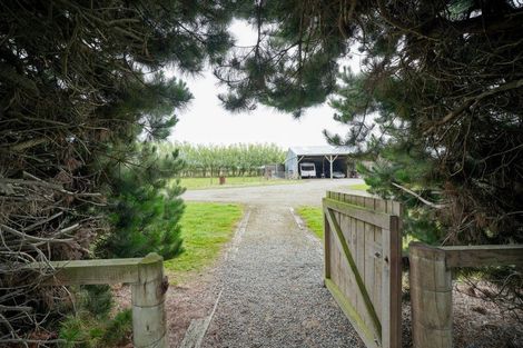 Photo of property in 644 Ryal Bush Wallacetown Road, Wallacetown, Invercargill, 9874