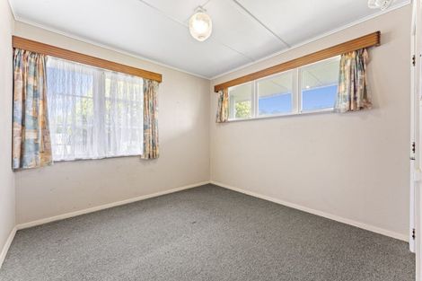 Photo of property in 20 Winchester Street, Levin, 5510