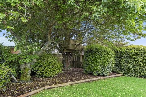 Photo of property in 10e Regan Street, Stratford, 4332