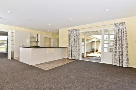 Photo of property in 10 Larnach Street, St Andrews, Hamilton, 3200
