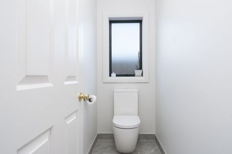 Photo of property in 51 Semillon Avenue, Henderson, Auckland, 0612