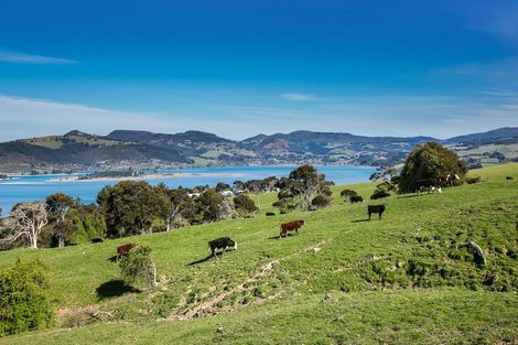 Photo of property in 21 Porteous Road, Warrington, Waikouaiti, 9471