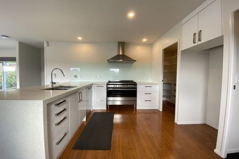 Photo of property in 53 Hartis Avenue, Huntly, 3700