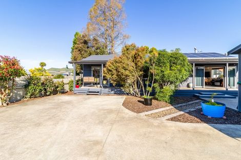 Photo of property in 1009a Konini Street, Mahora, Hastings, 4120