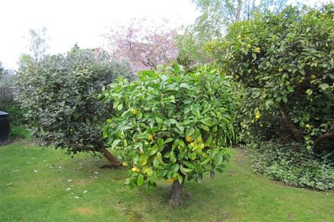 Photo of property in 38 Elmira Avenue, Hokowhitu, Palmerston North, 4410