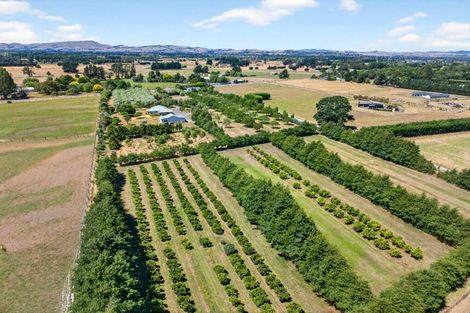 Photo of property in 277 Upper Plain Road, Upper Plain, Masterton, 5888