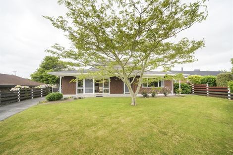 Photo of property in 3 Coronet Place, Awapuni, Palmerston North, 4412