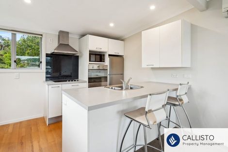 Photo of property in 66a Maclaggan Street, Dunedin Central, Dunedin, 9016