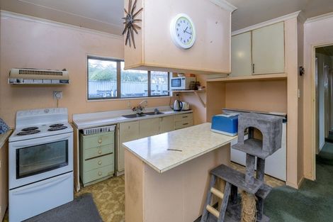 Photo of property in 32 Strathmore Avenue, Levin, 5510