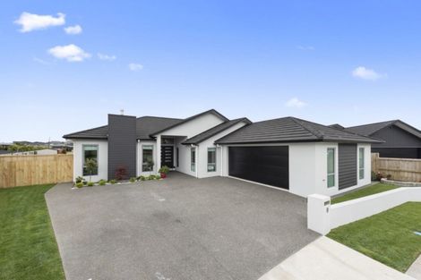 Photo of property in 9 Santiago Place, Flagstaff, Hamilton, 3210