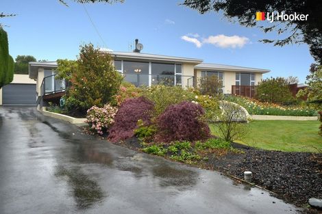 Photo of property in 14 Kenilworth Street, Waverley, Dunedin, 9013