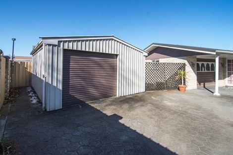 Photo of property in 130a Chapel Street, Masterton, 5810