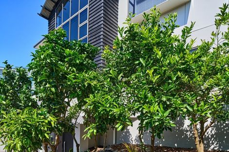 Photo of property in 3 The Palms, Raumati Beach, Paraparaumu, 5032