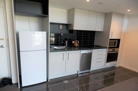 Photo of property in Nouvo Apartments, 21 Rugby Street, Mount Cook, Wellington, 6021