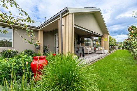 Photo of property in 299 Carmichael Road, Brookfield, Tauranga, 3110