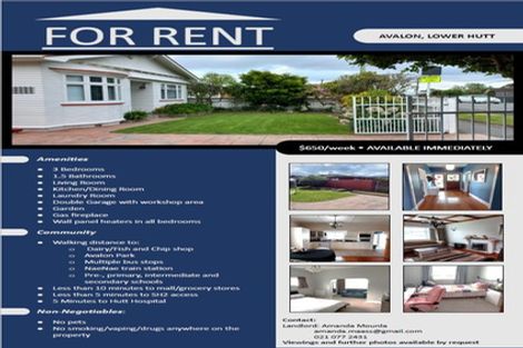 Photo of property in 974 High Street, Avalon, Lower Hutt, 5011