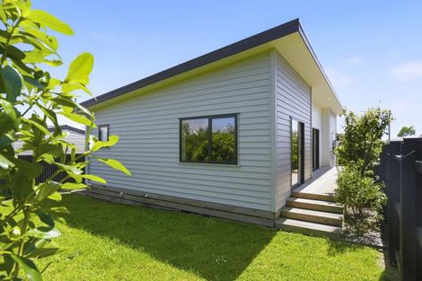 Photo of property in 33a Keepa Street, Levin, 5510