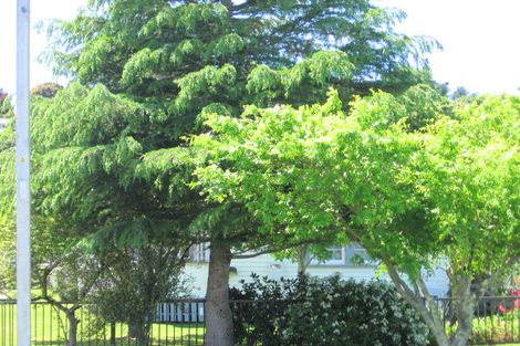 Photo of property in 29 Perry Street, Mangapapa, Gisborne, 4010