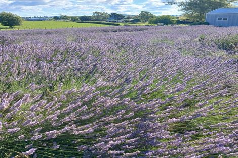 Photo of property in 169 Brotherhood Road, Kihikihi, Te Awamutu, 3875