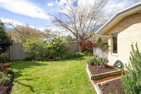 Photo of property in 12 Windsor Court, Rangiora, 7400