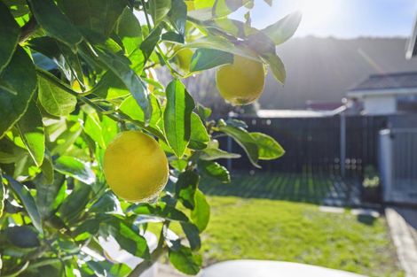 Photo of property in 59 Pasadena Crescent, Totara Park, Upper Hutt, 5018